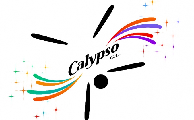 New Equipment for Calypso Gymnastics Club