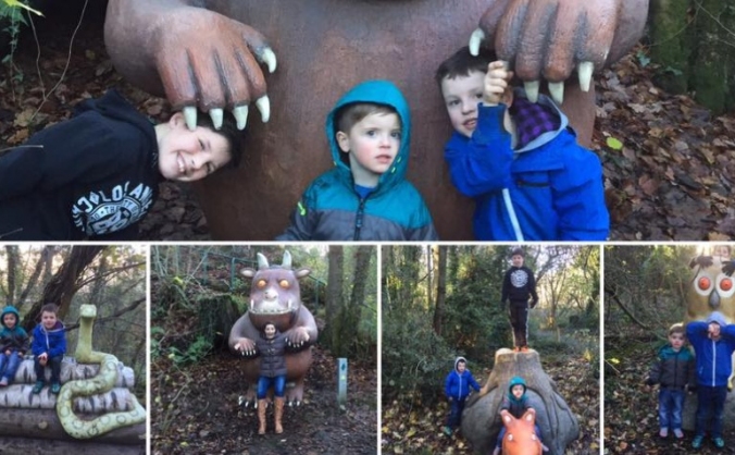 Magical Woods at Colin