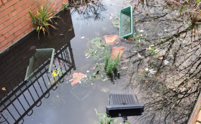 Camberley Community Group Garden Project