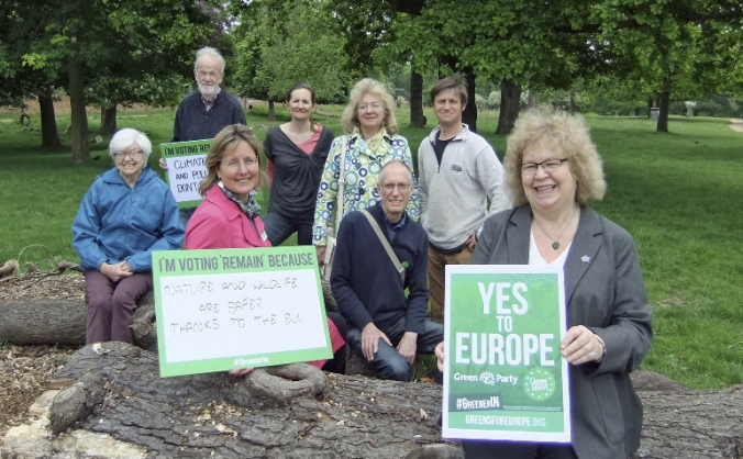 Help Green Party in Richmond By-election