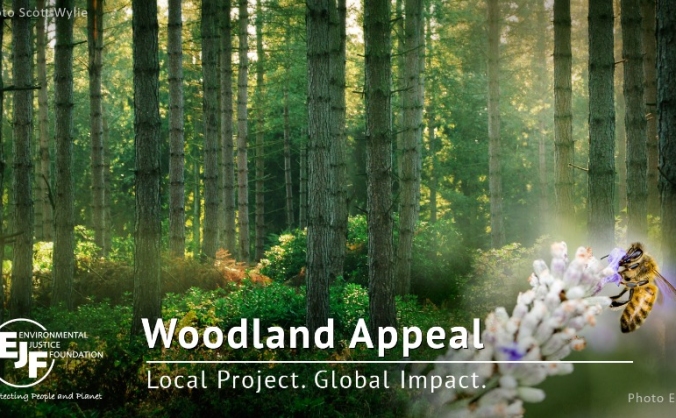 EJF Woodlands Appeal