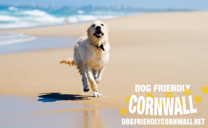 Dog Friendly Cornwall