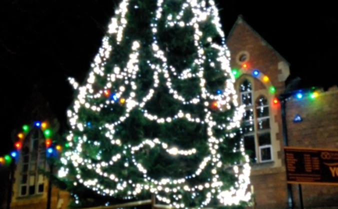 The Big Tree