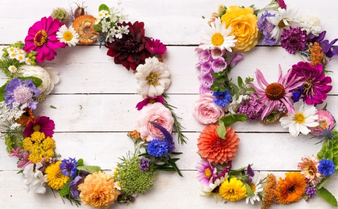 Organic Blooms - help us grow