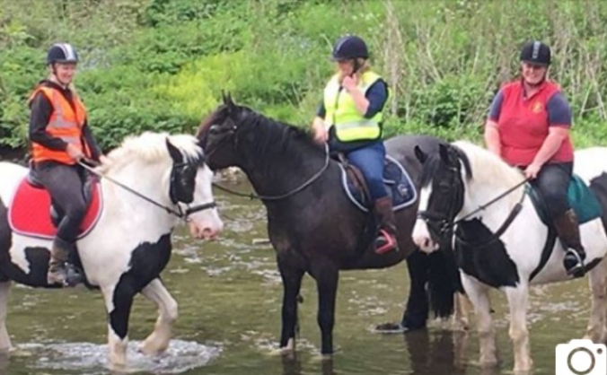 Peak Trails Pony Trekking