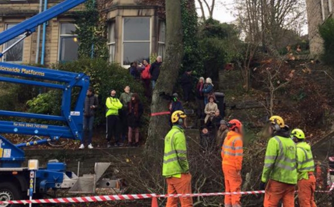 Sheffield Trees Legal Fund