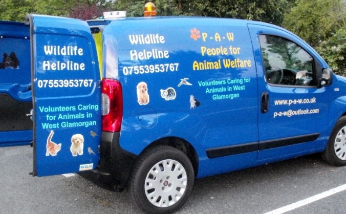 People for Animal Welfare (P-A-W)