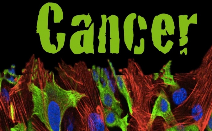 Help Stop Cancer