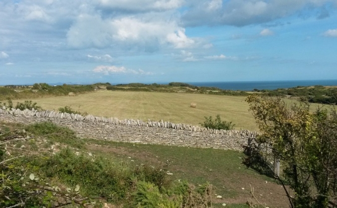 Fossil Free Dorset