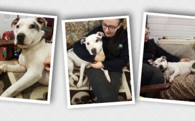 SAVE TOBY! Dog faces death row.