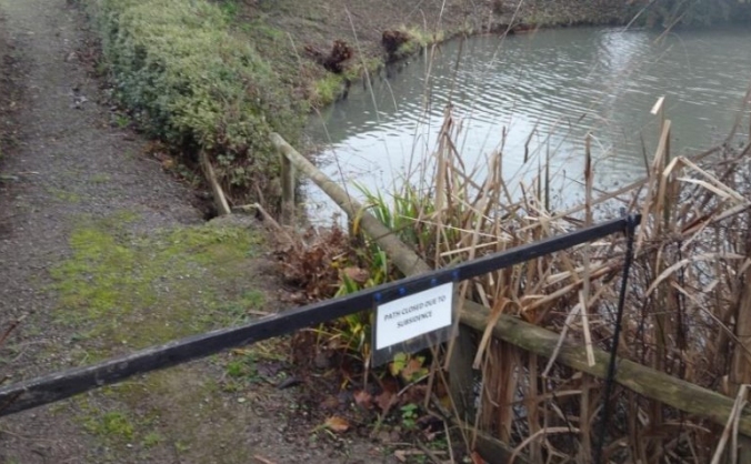 Supporting the Glastonbury Abbey Pond Plan