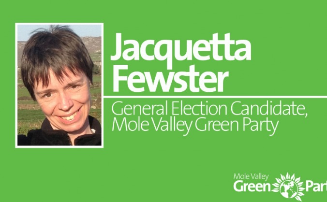 Help elect a Green MP in Mole Valley