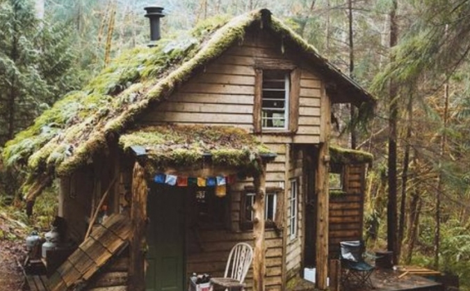Alex's Log Cabins