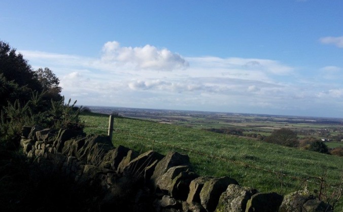 Green Party Candidates for West Lancashire