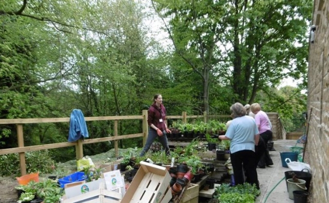 Dronfield Hall Barn Heritage Gardens