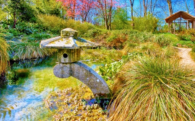Save Gatton's Japanese Garden