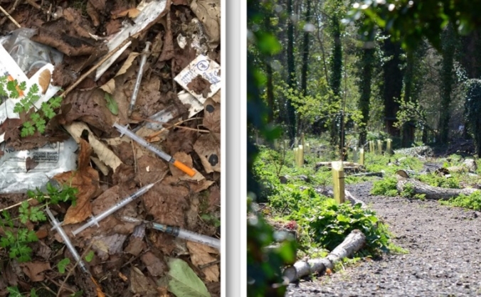 Brickmakers Wood wildlife regeneration project
