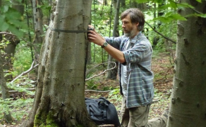 Rare Mammal Survey North Wales