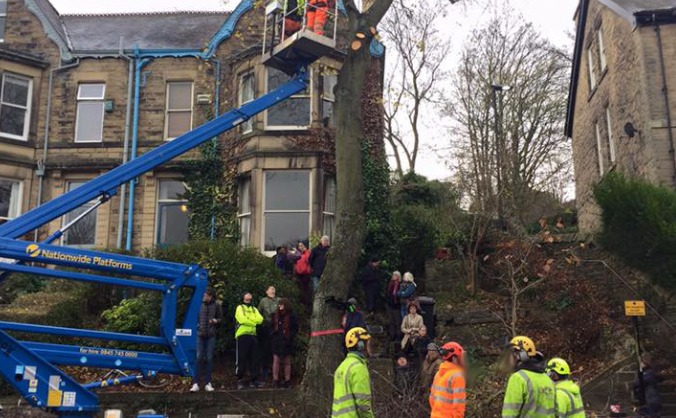 Street Trees Legal Fund 2 (Rustlings Rd)
