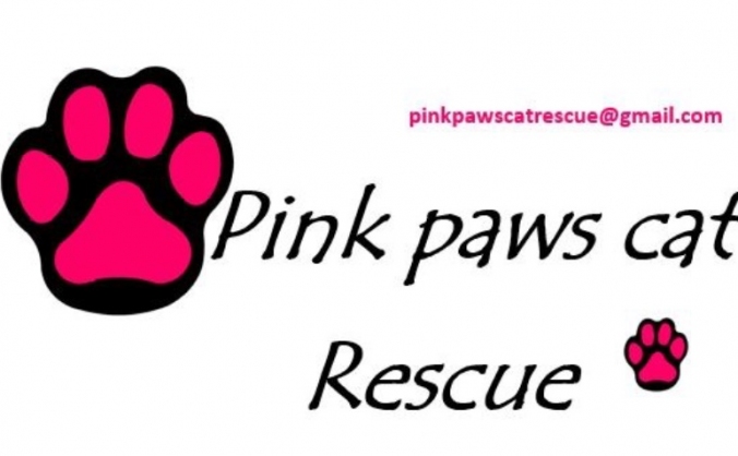 Pink Paws Cat Rescue