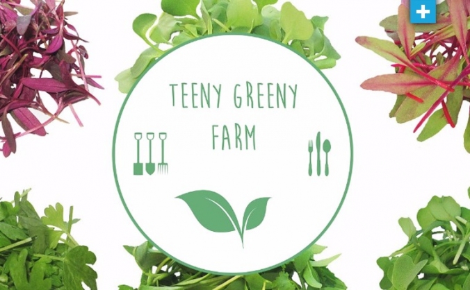 Teeny Greeny Urban Farm Crowdfunder