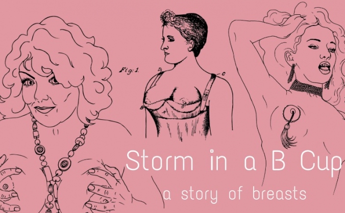 Storm in a B Cup: a story of breasts