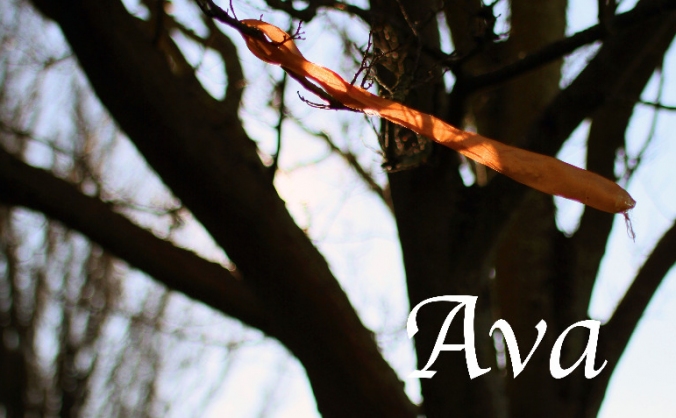 AVA.