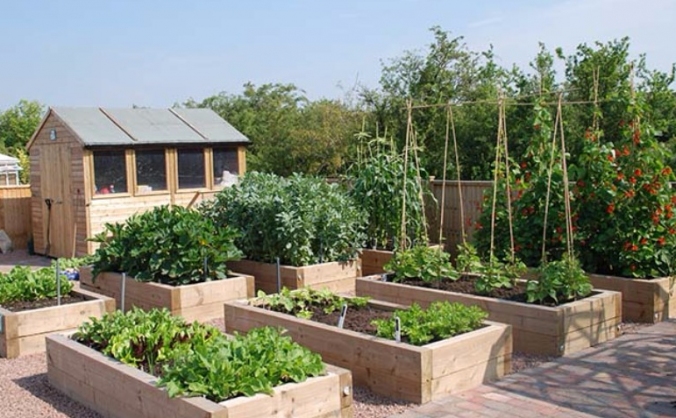 The Eating Place - Community Kitchen Garden