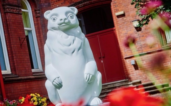 Bringing the Bear to Boldmere