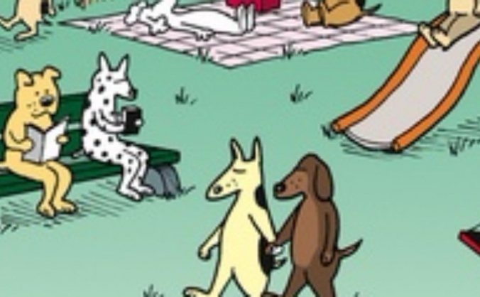 The Bark Park