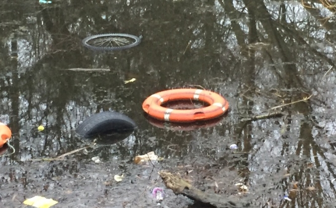 Clean up Basildon district