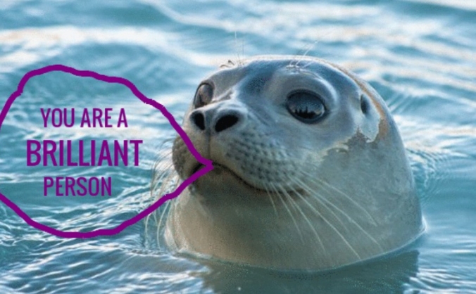 Seal of Approval