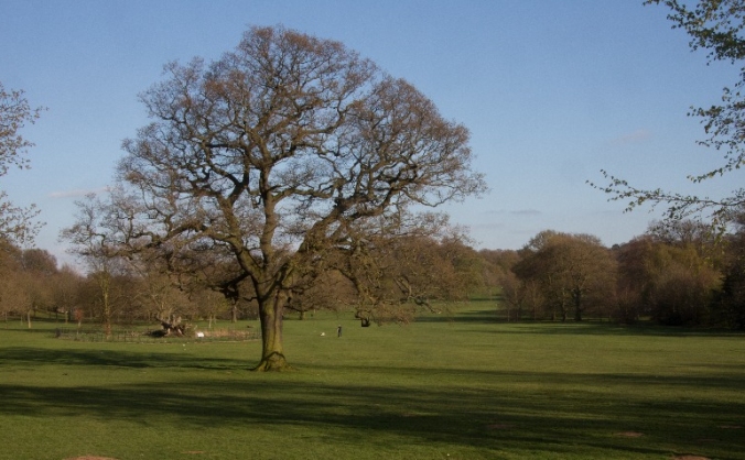 Bramcote Hills Park Community Cafe