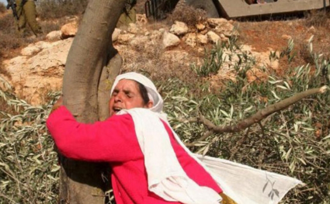 Belonging to The Land: Chai For All in Palestine