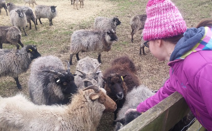 Lauriston Farm Social Farming Initiative