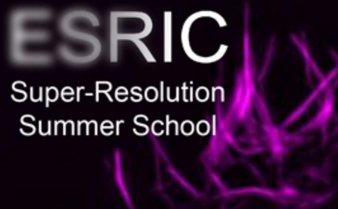 Attending to ESRIC Super-Resolution Summer School