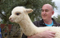 Bloody Hell, What's an Alpaca?