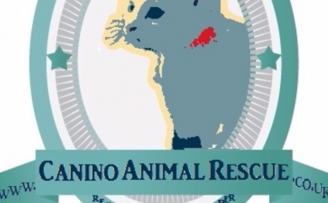Canino Animal Rescue