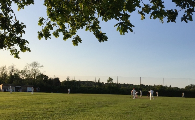 West Monkton Cricket Club - Non-turf cricket pitch