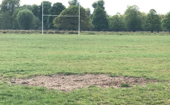 Teddington RFC - Pitch Perfect