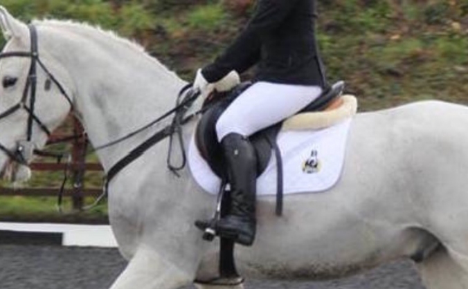 Longhurst Equestrian