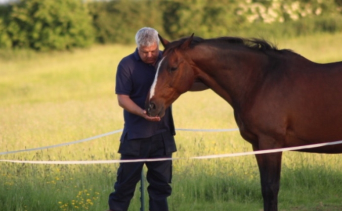 Save The Way of the Horse Therapy Centre