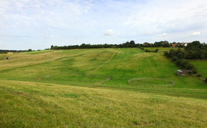 Annie's Farm