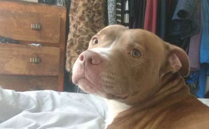Help Chunk get set up for a new life.