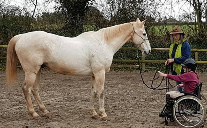 New Life Horse Care Sanctuary
