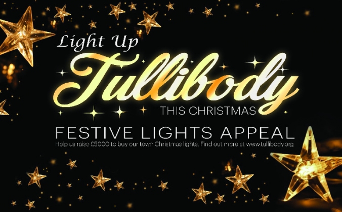 Tullibody Festive Lights Appeal