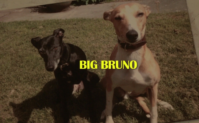 BIG BRUNO - Short Documentary