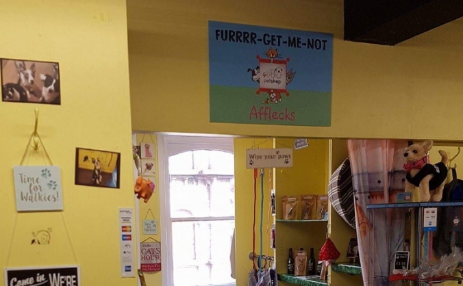 Expand our Unique Pet Shop and Dog Cafe