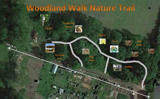 Pampisford Road Allotments, New Nature Trail