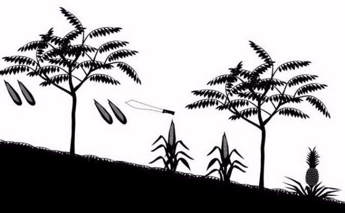 Sustainable farming to save rainforests: Honduras